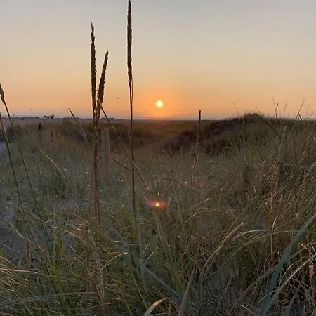 Lejlighed South In The House Aft Diek Sankt Peter-Ording