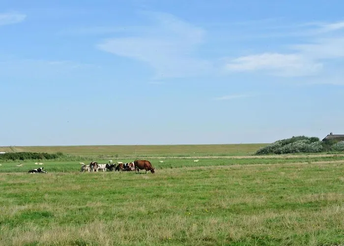 South In The House Aft Diek * Böhl